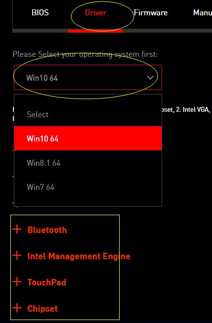 update driver msi camera