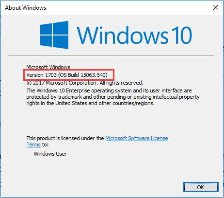 windows 10 bulid number