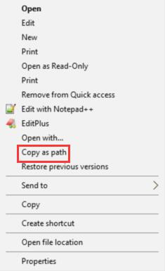 copy file path