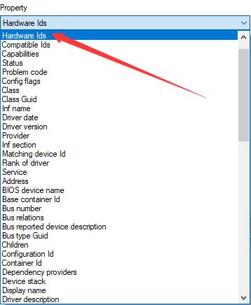 choose hardware ids