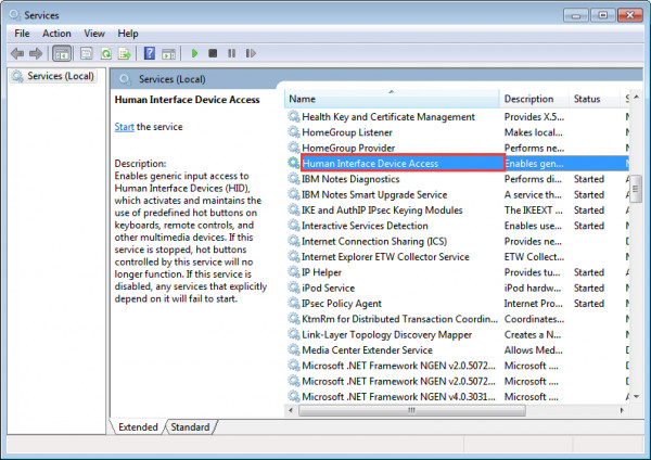 huuman interface device access service