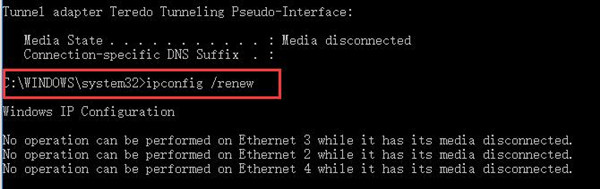 ip config renew