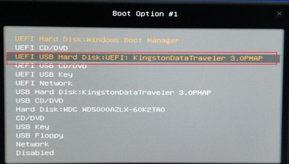 choose the usb drive in boot option