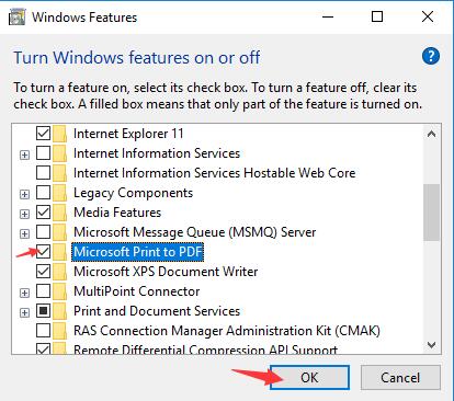 check the box of microsoft print to pdf