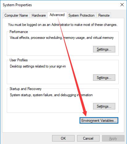 environment variables in advanced tab