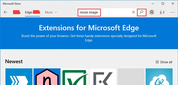 resize image in the mircosoft store search box