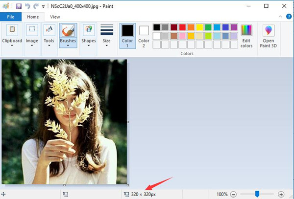 resize under image in paint