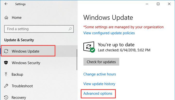 advanced options in windows update