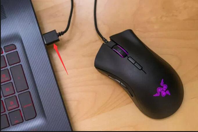 plug razer mouse into another port