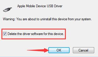 delete the driver software for this device apple mobile usb device