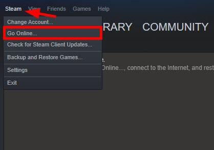 steam go online