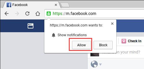 allow to show notifications