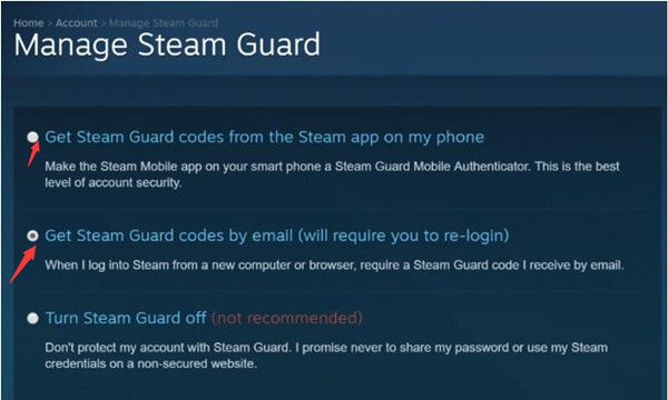 get steam guard codes by email