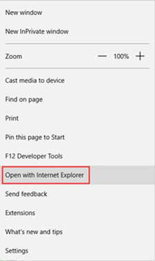 open with internet explorer
