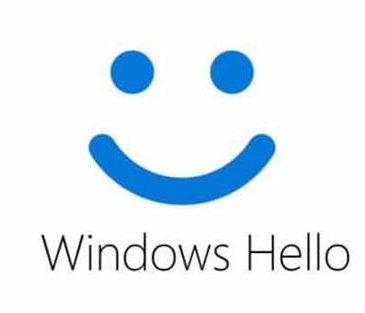 windows hello could not turn on camera