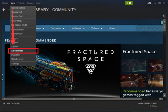 screenshot in steam