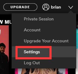 spotify settings