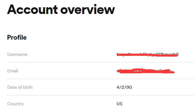 spotify username overview