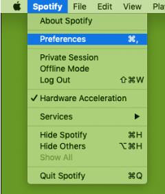 spotify preferences