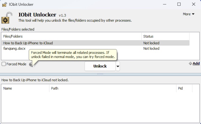 iobit unlocker force mode