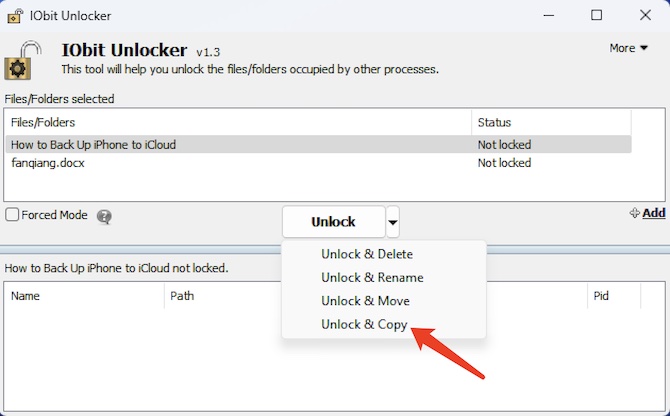 iobit unlocker unlock copy