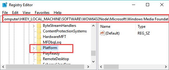 platform in registry editor