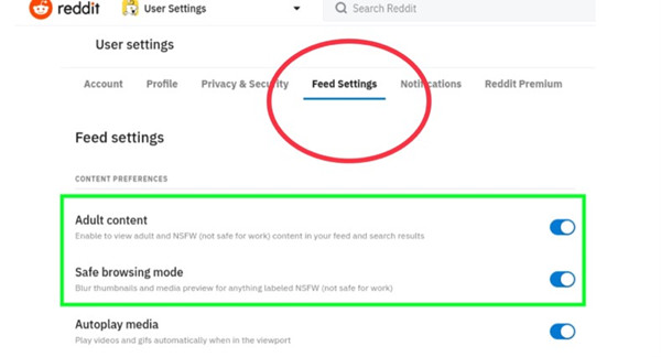 reddit feed settings