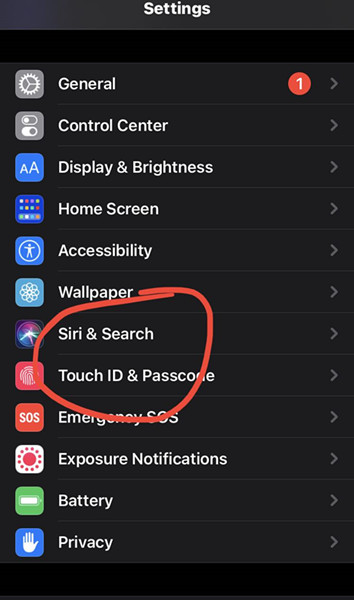 siri search on iphone