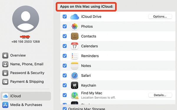 apps on this mac using icloud