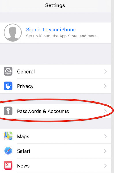 password and accounts in iphone settings