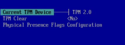 enable tpm from bios