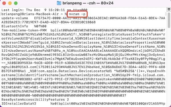 see nvram store content terminal