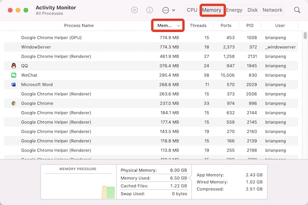 activity monitor memory process