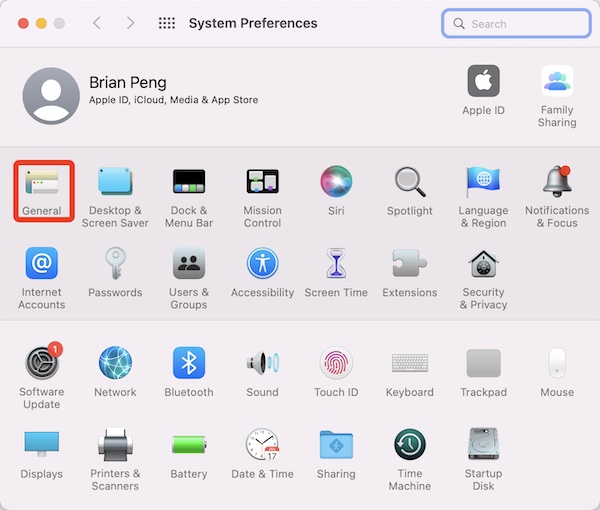 system preferences general