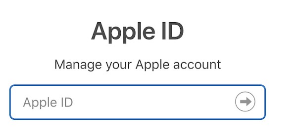 sign in with your apple id and password