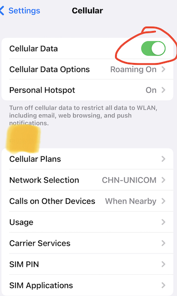 turn on cellular data