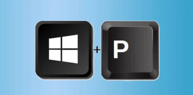 windows p