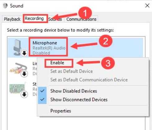 enable recording microphone