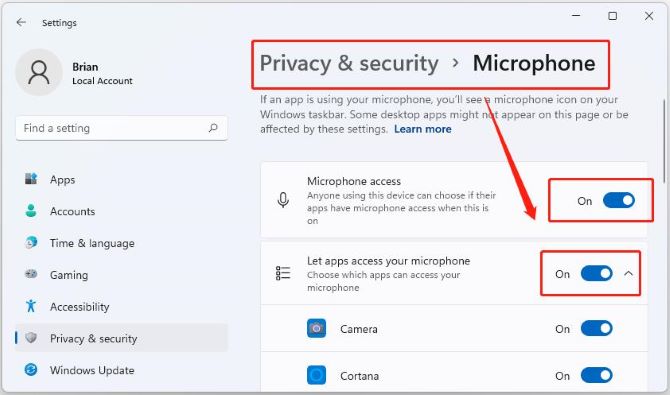 privacy security microphone access