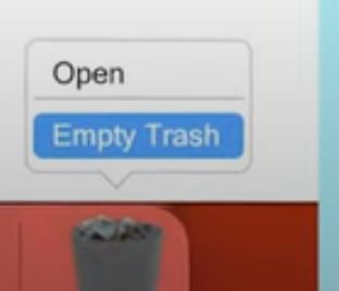 empty trash
