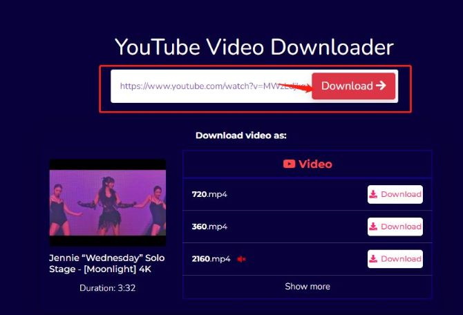youtube video downloader download