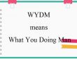 what does wydm mean