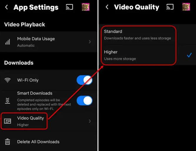adjust streaming video quality netflix app