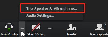 zoom meetings test speaker and microphone