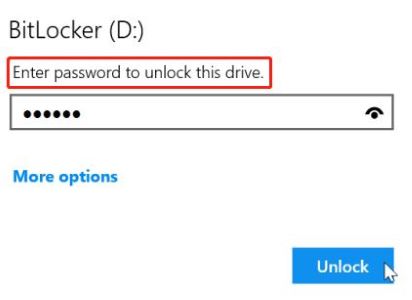 bitlocker enter the correct password