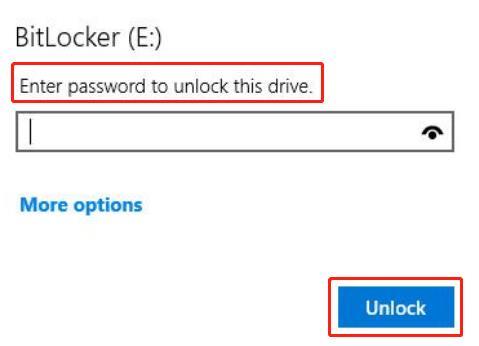 enter bitlocker password