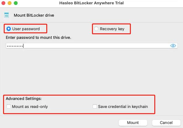 hasleo enter password or recovery key