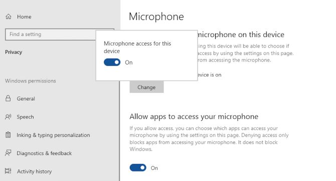 turn on microphone access