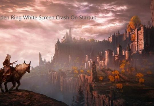 elden ring white screen crash on startup