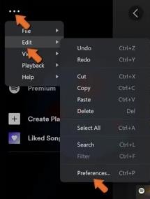 spotify edit preferences